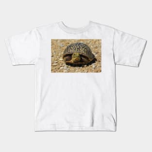 A Kansas Box Shell Male Turtle close up Kids T-Shirt